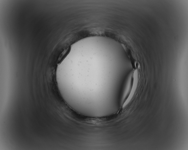 X0000083000229200703020910