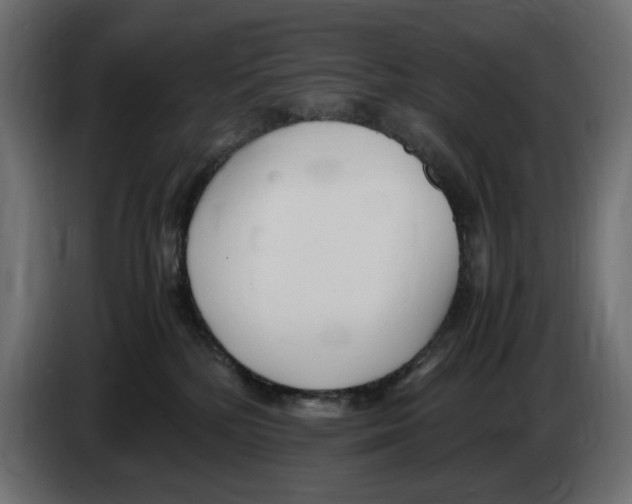 X0000083000232200703020910