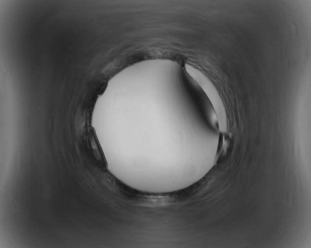 X0000083000233200703020910