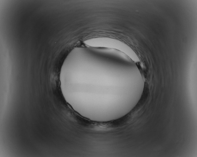 X0000083000235200703020910