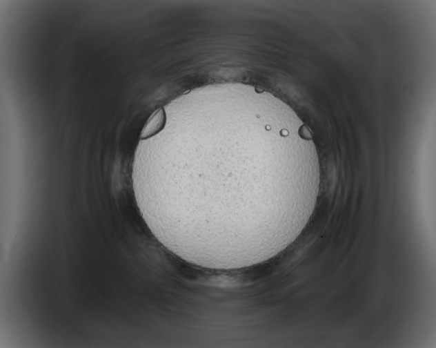 X0000083000236200703020910