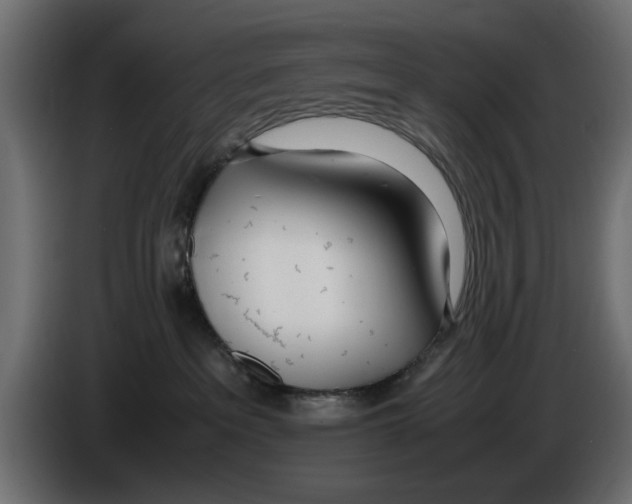 X0000083000237200703020910