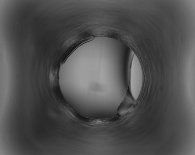 X0000083000239200703020910