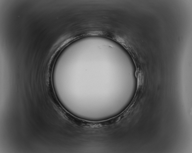 X0000083000243200703020910