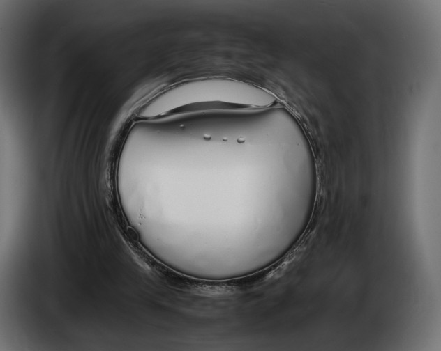 X0000083000245200703020910