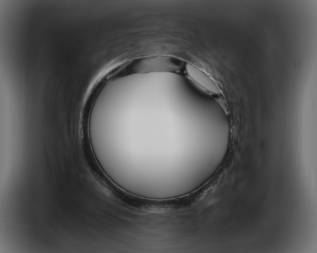 X0000083000248200703020910