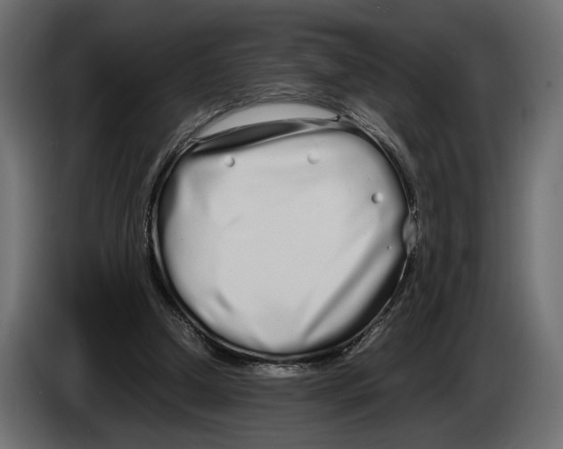 X0000083000250200703020910