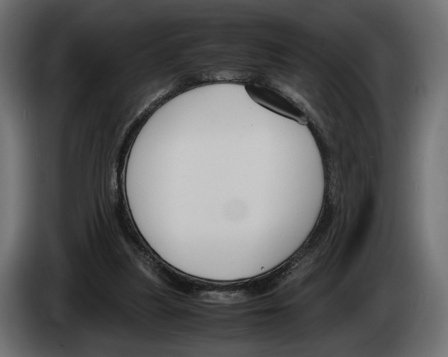 X0000083000251200703020910