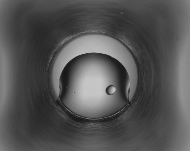 X0000083000252200703020910