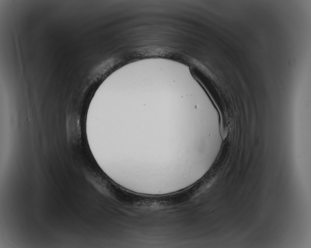 X0000083000254200703020910