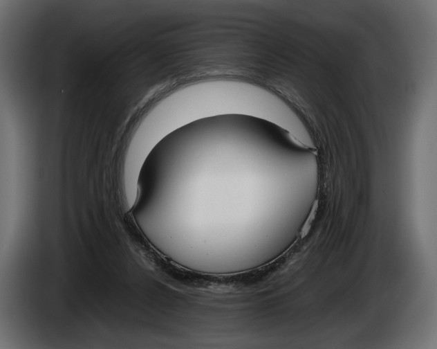 X0000083000256200703020910