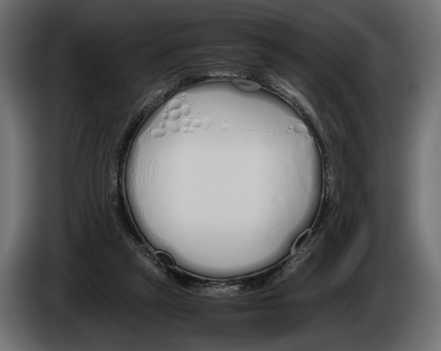 X0000083000257200703020910