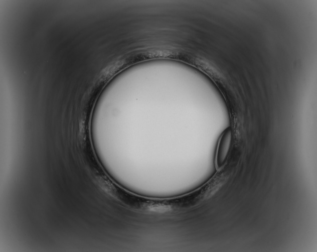 X0000083000258200703020910