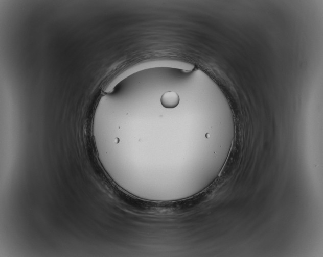 X0000083000260200703020910