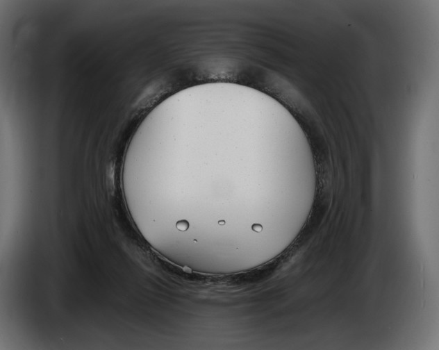 X0000083000262200703020910