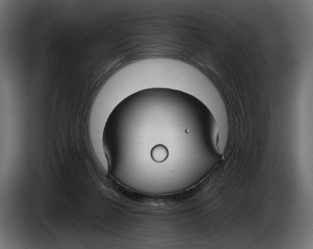 X0000083000264200703020910