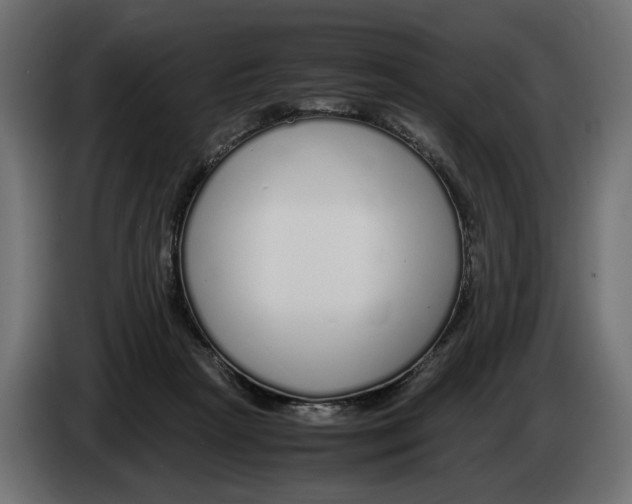 X0000083000265200703020910