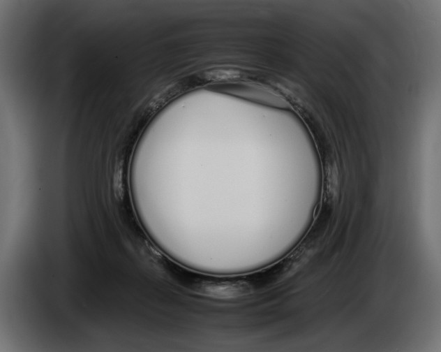 X0000083000267200703020910