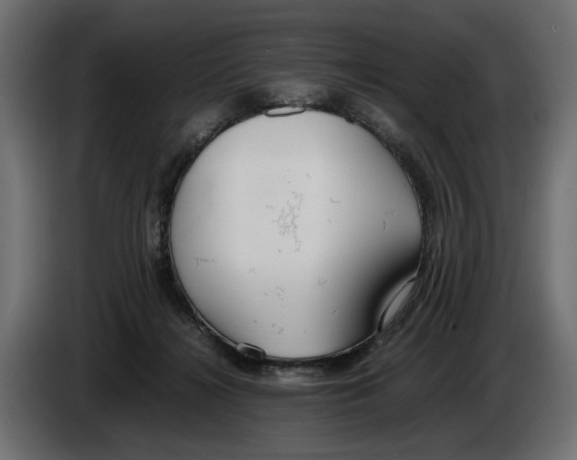 X0000083000268200703020910