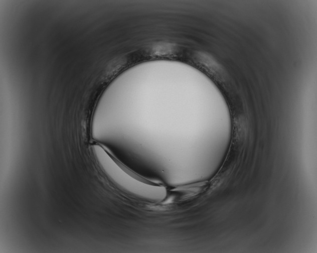 X0000083000269200703020910