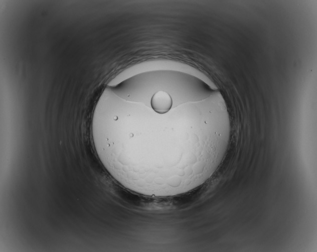 X0000083000270200703020910