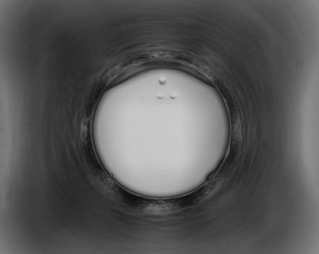 X0000083000271200703020910