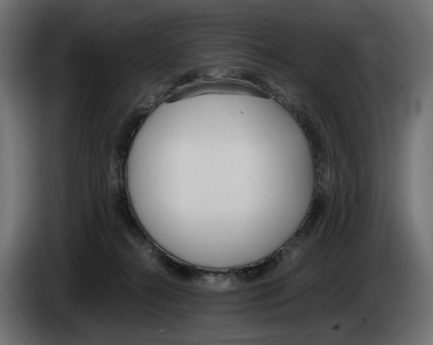 X0000083000272200703020910