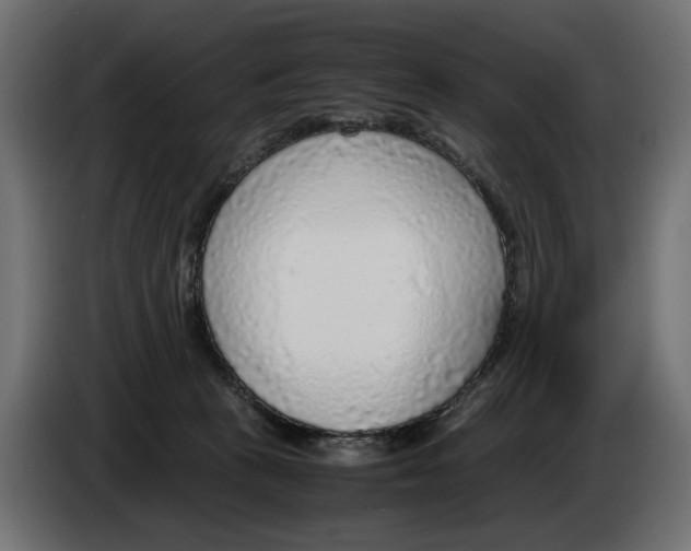 X0000083000273200703020910