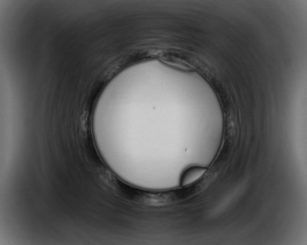 X0000083000275200703020910