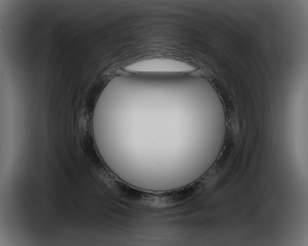 X0000083000276200703020910