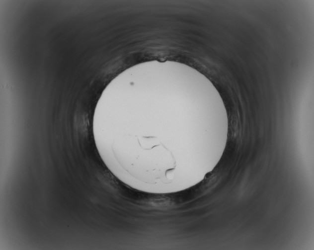 X0000083000279200703020910