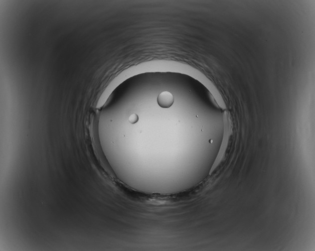 X0000083000280200703020910