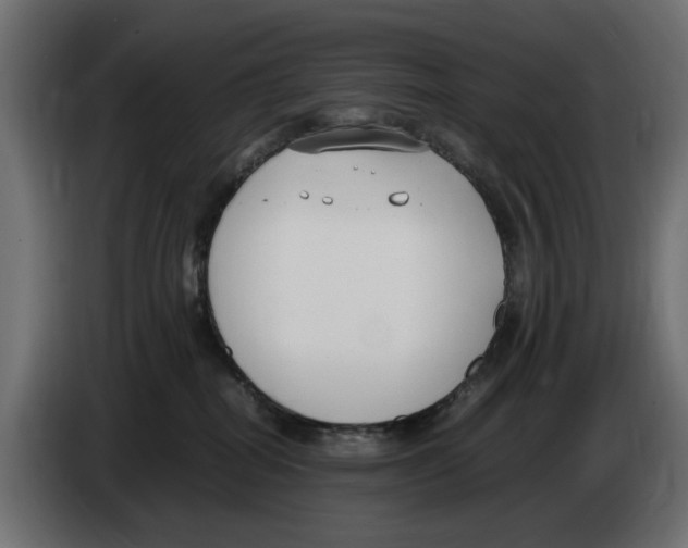 X0000083000282200703020910