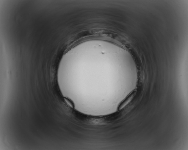 X0000083000283200703020910