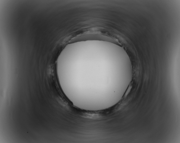 X0000083000284200703020910