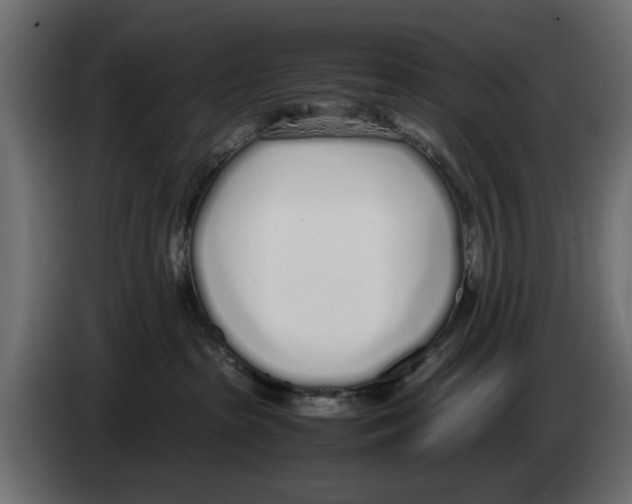 X0000083000285200703020910