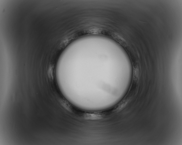 X0000083000286200703020910