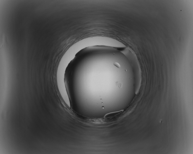 X0000083000288200703020910