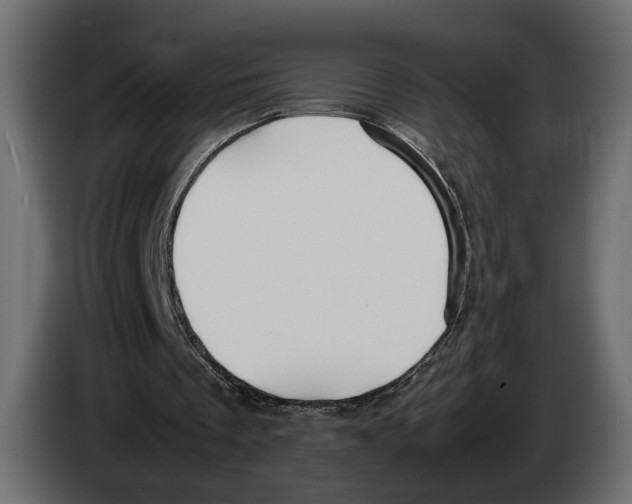 X0000083000289200703020910