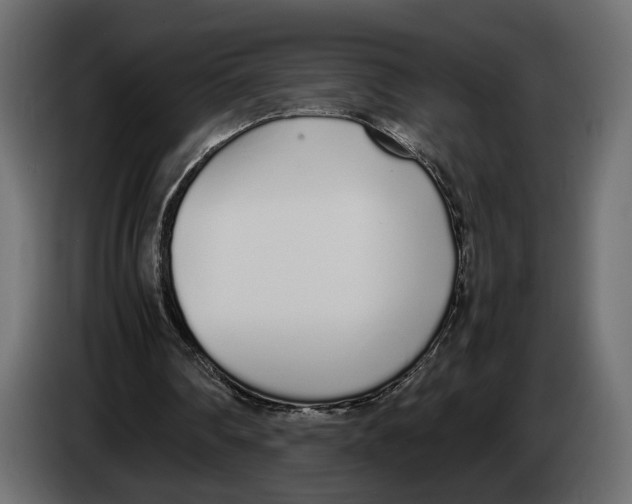 X0000083000290200703020910