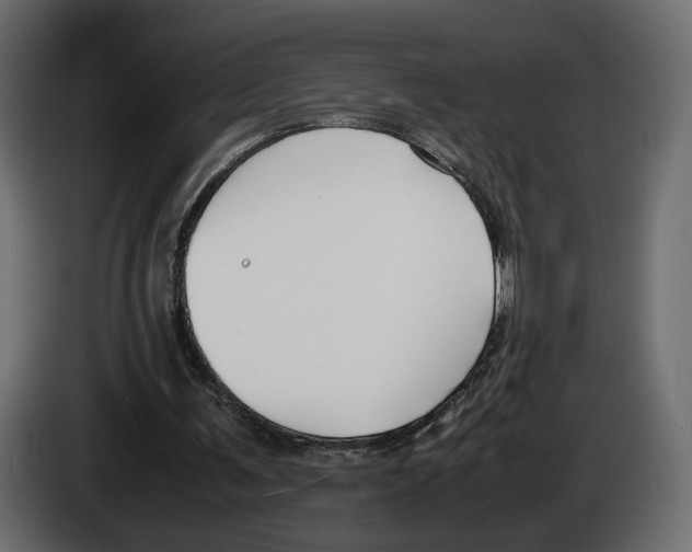 X0000083000291200703020910