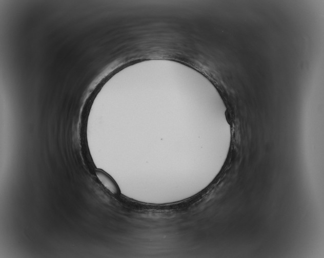 X0000083000292200703020910