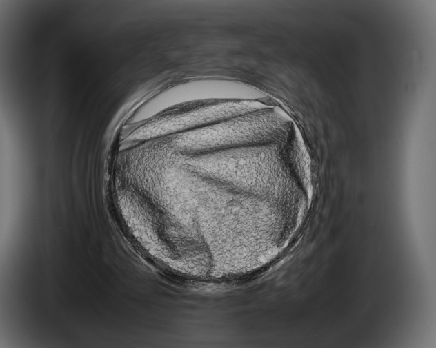 X0000083000293200703020910