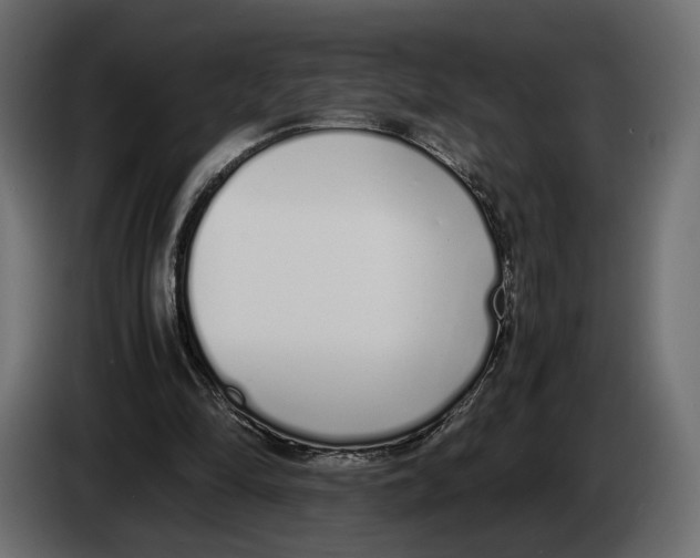 X0000083000294200703020910