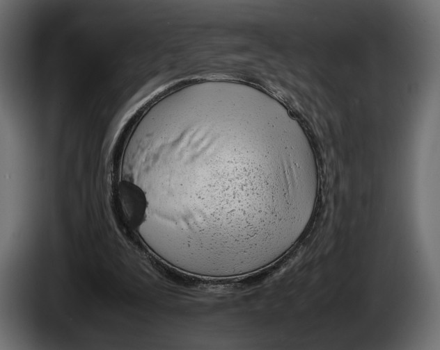 X0000083000295200703020910