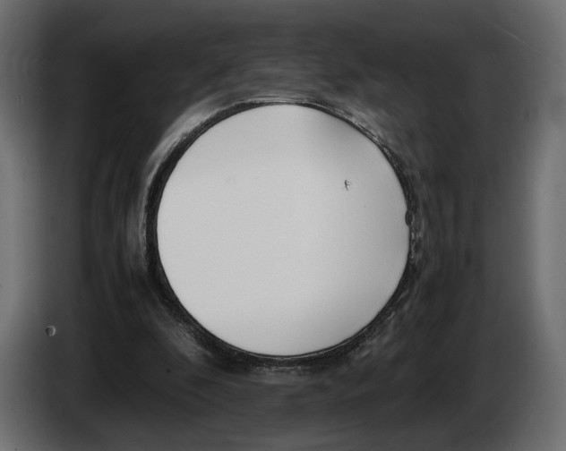 X0000083000296200703020910