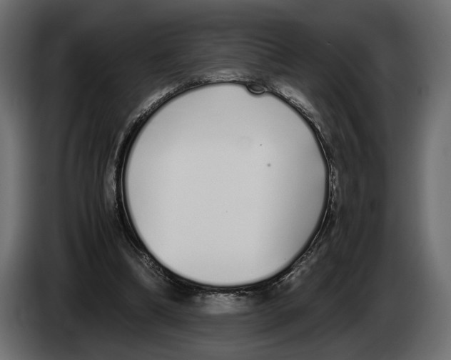 X0000083000298200703020910