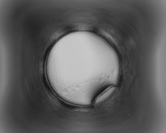 X0000083000299200703020910