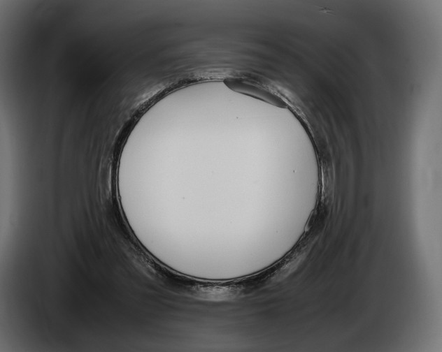 X0000083000301200703020910