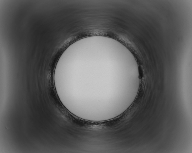 X0000083000306200703020909